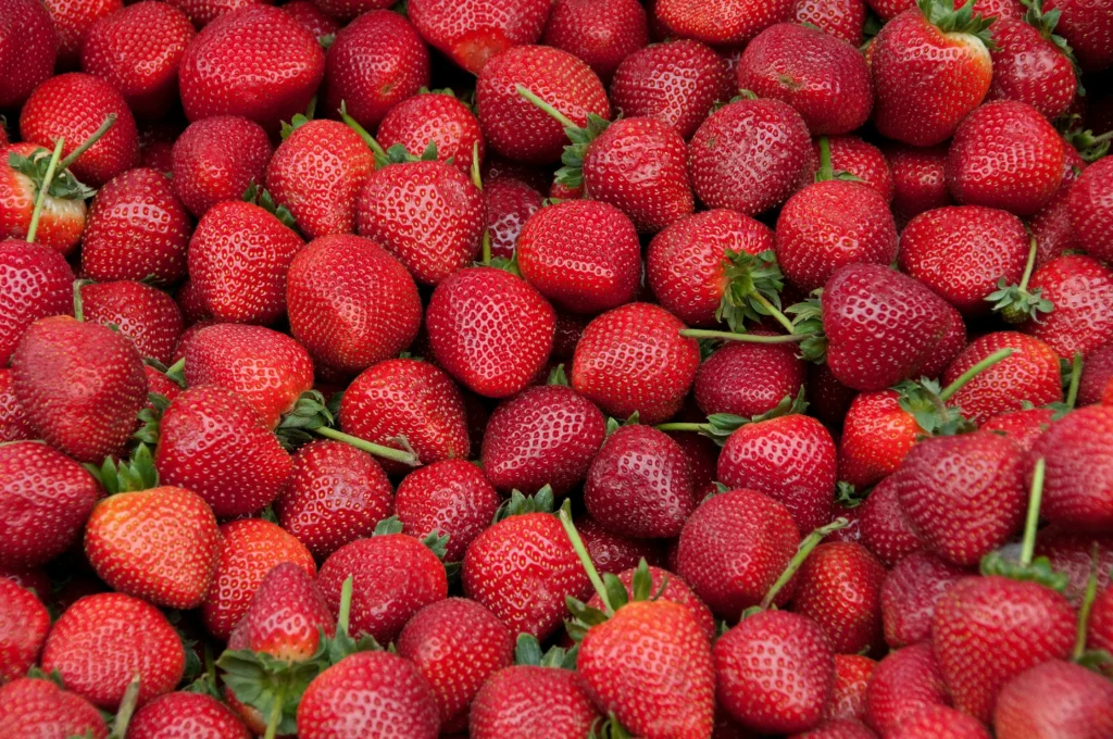 PRO*ACT Strawberries